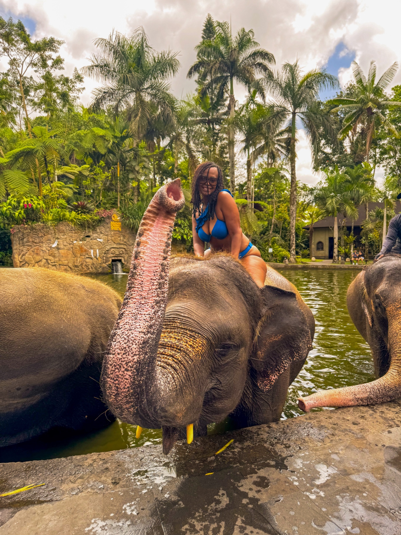 Meeting elephants at a sanctuary in Ubud, Bali